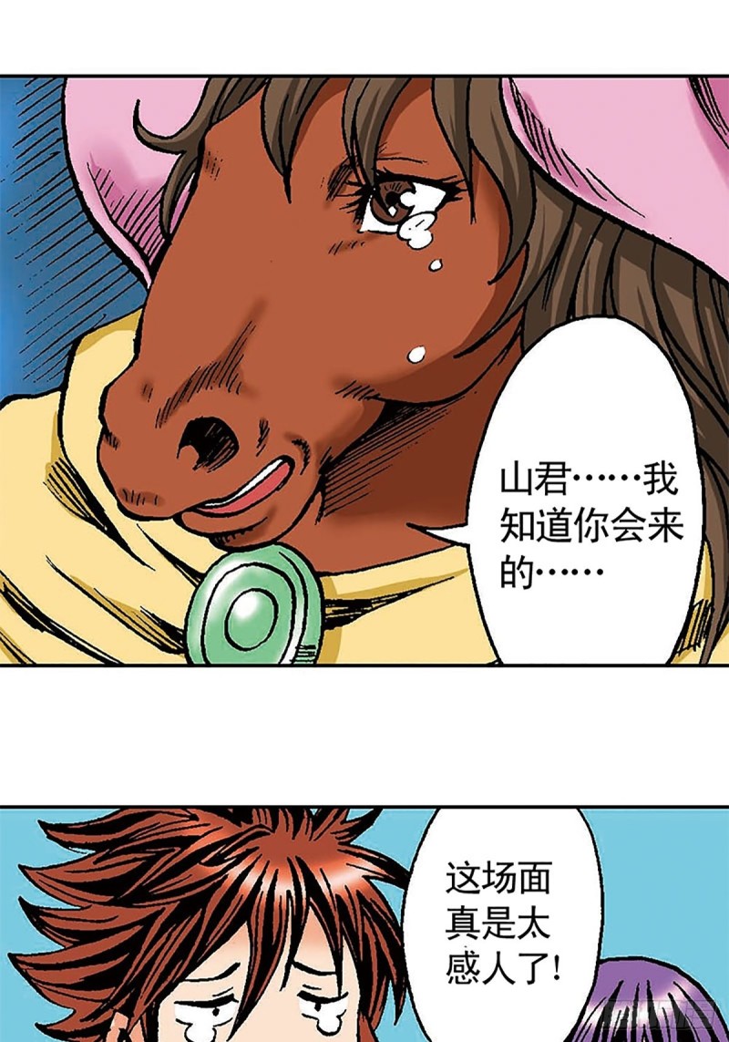 43.jpg
