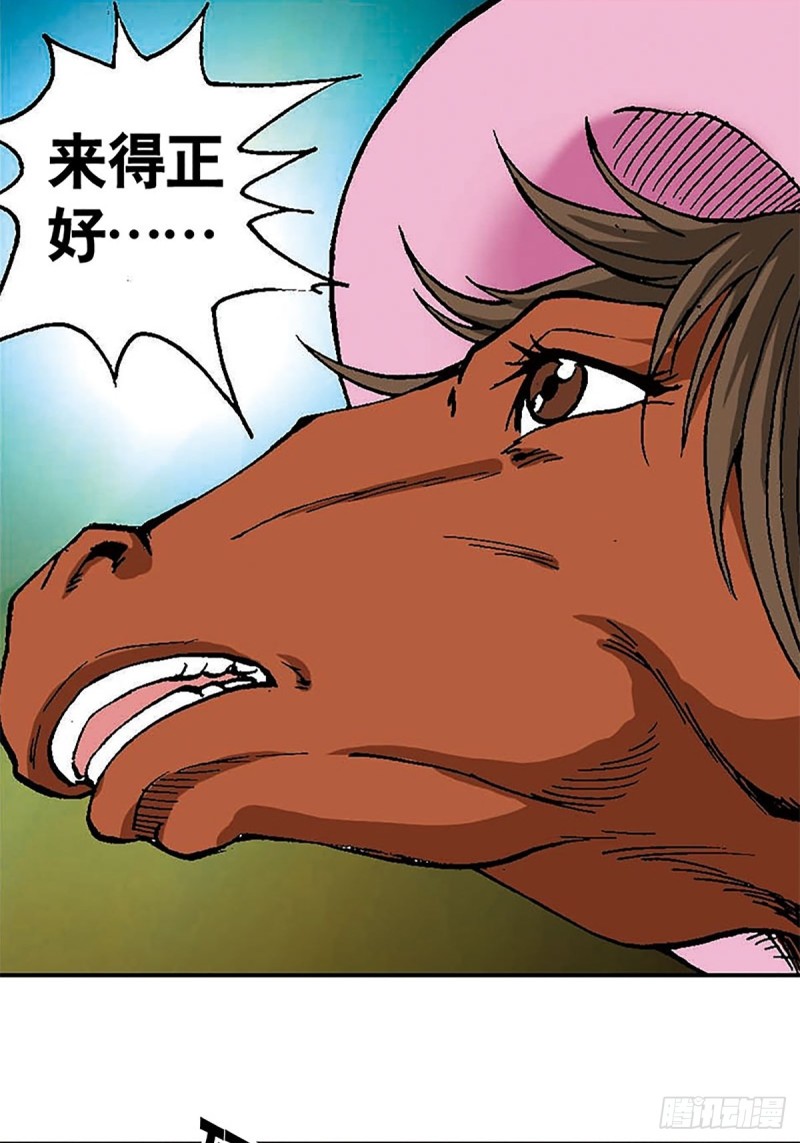 17.jpg