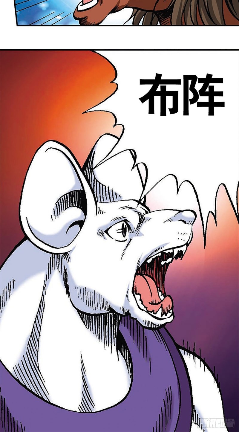 28.jpg