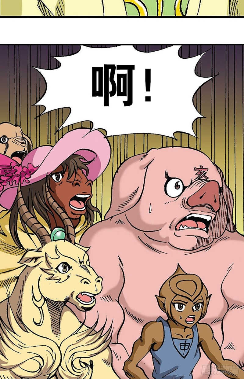 14.jpg