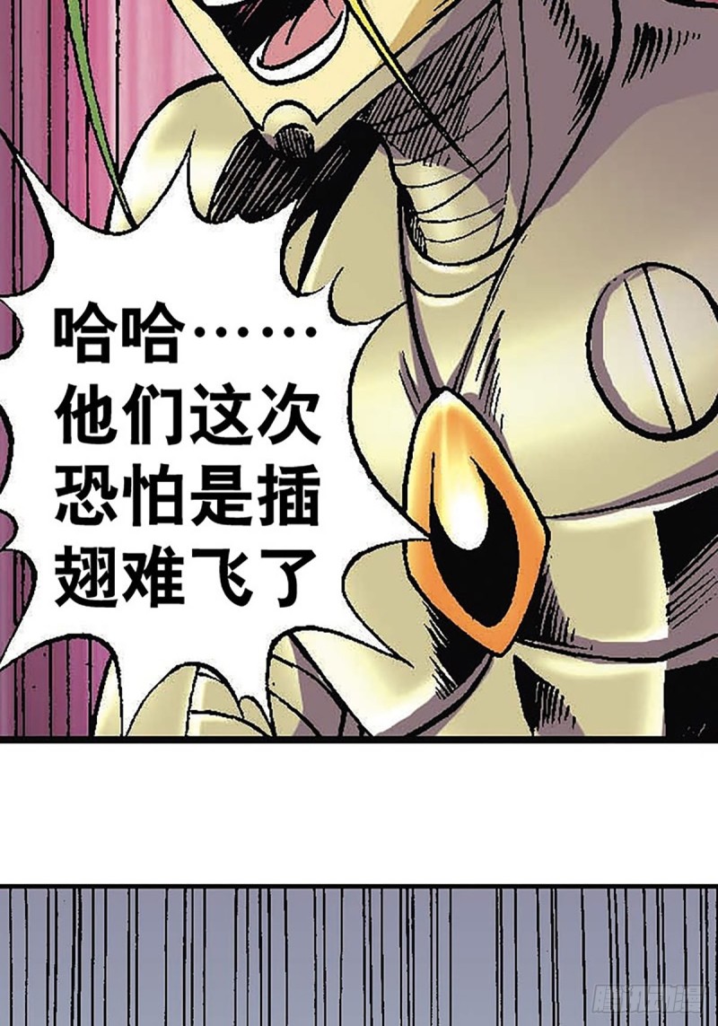 31.jpg