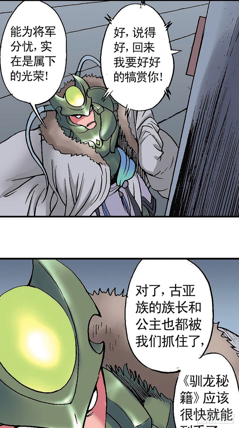 41.jpg