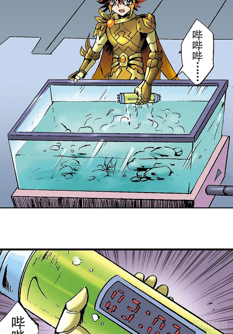 41.jpg