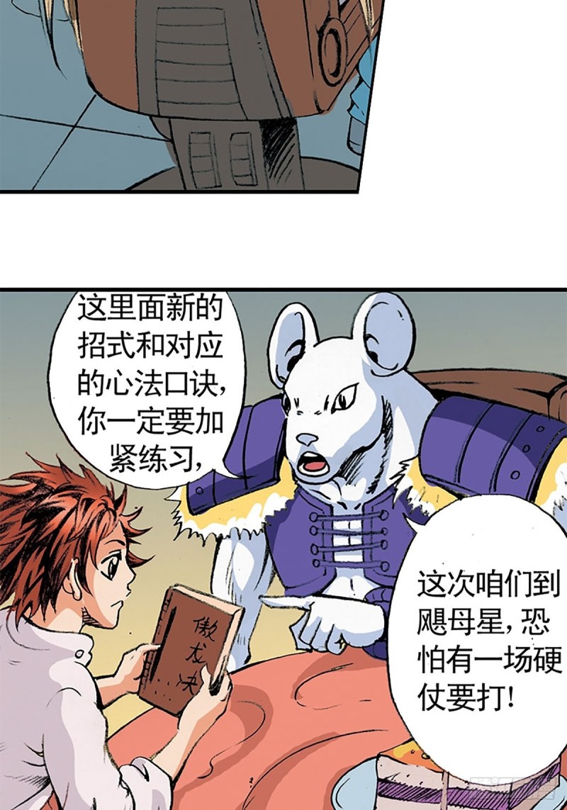 26.jpg