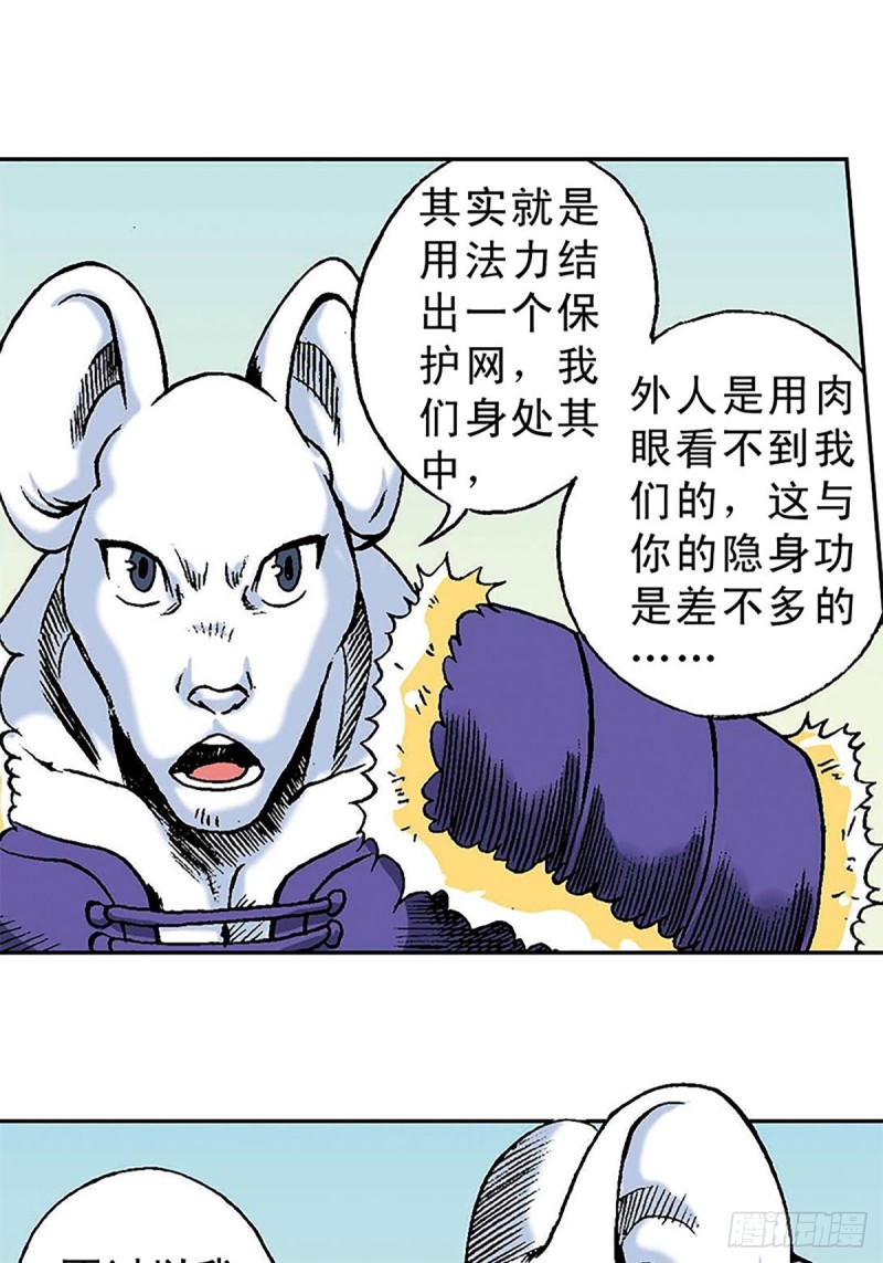 13.jpg