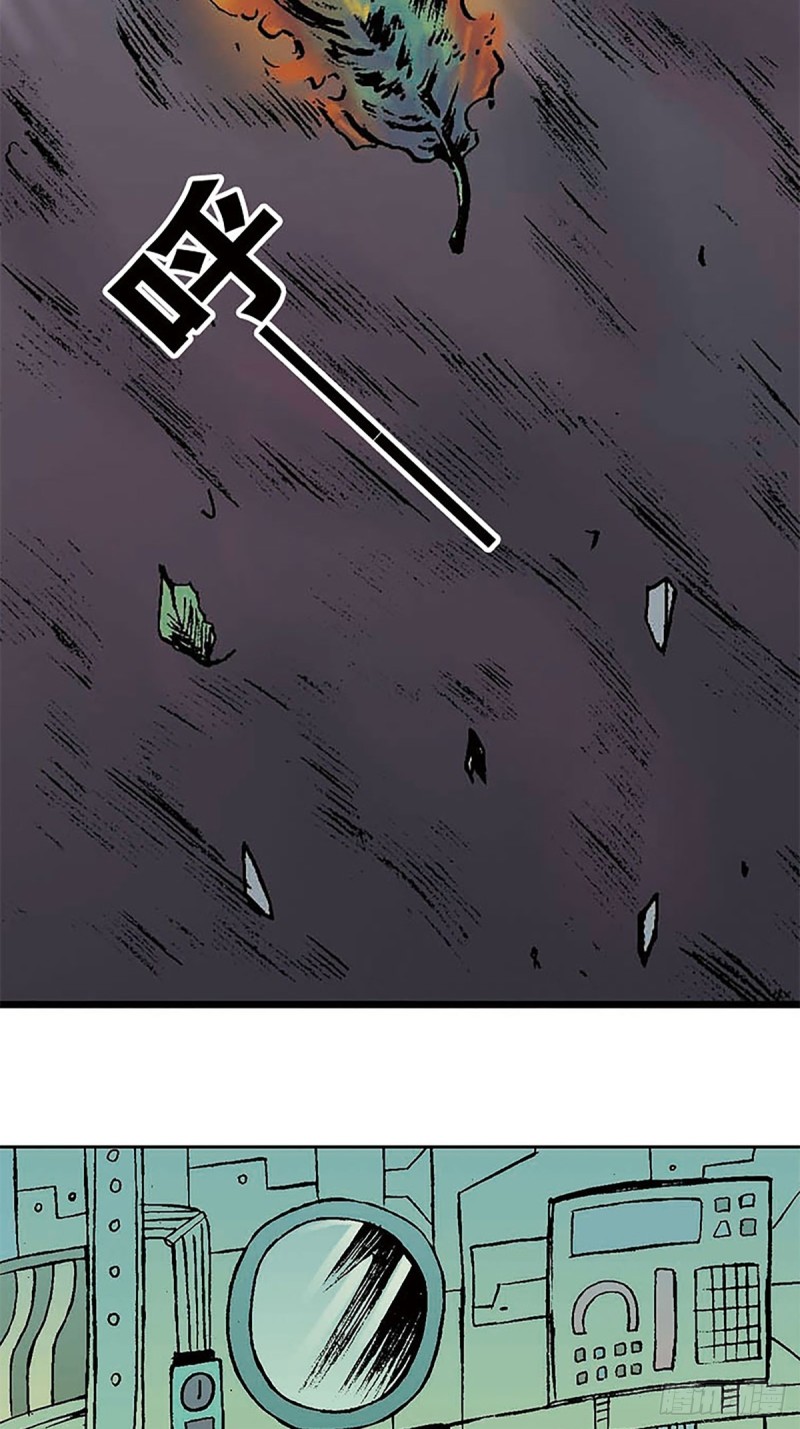 35.jpg