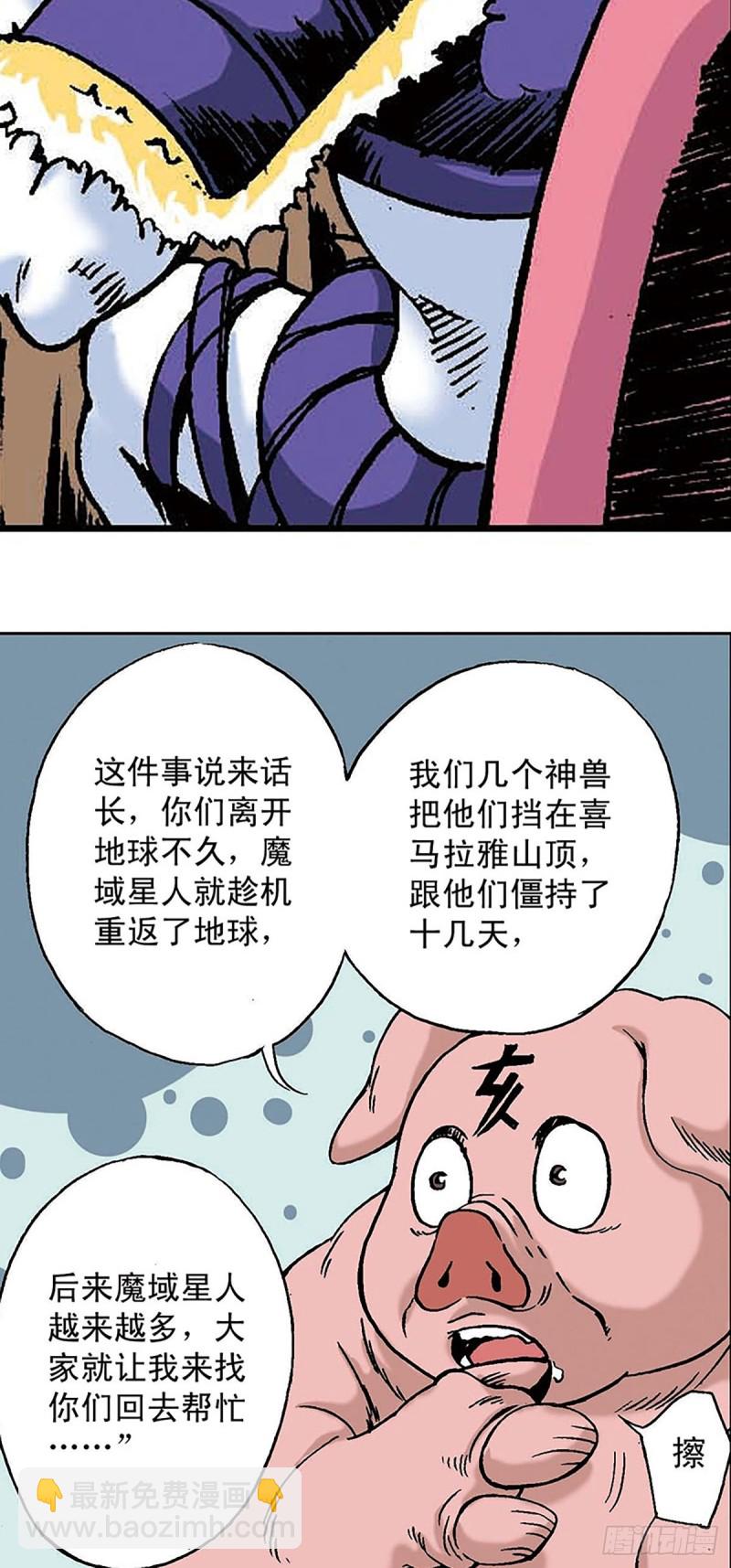 46.jpg