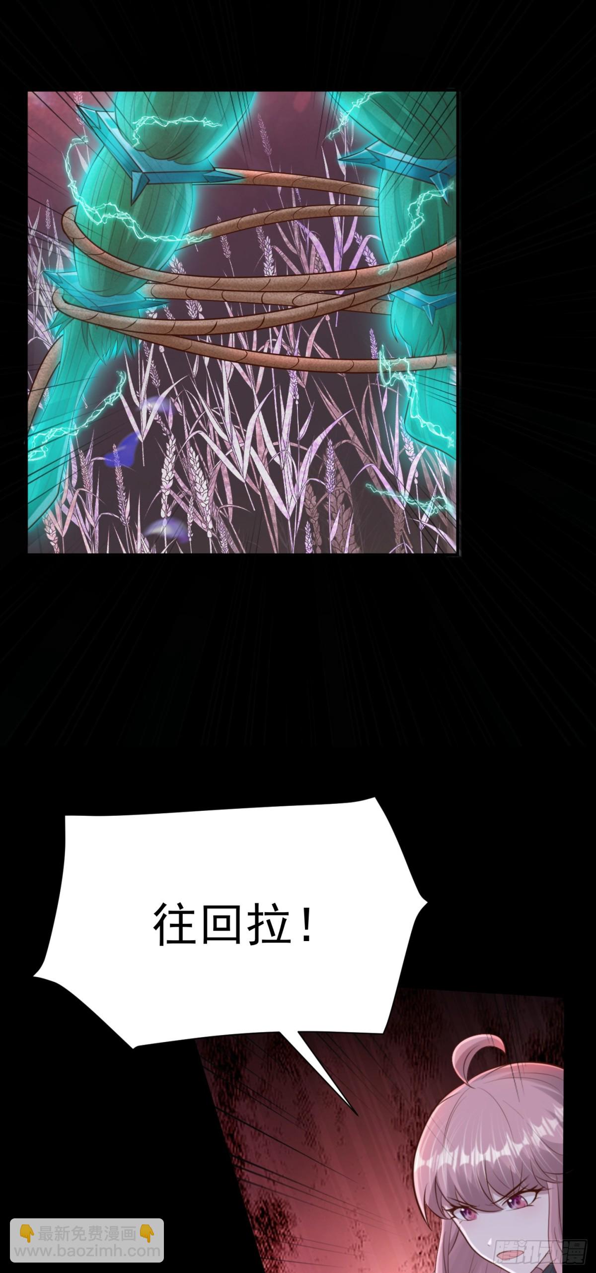 40.jpg