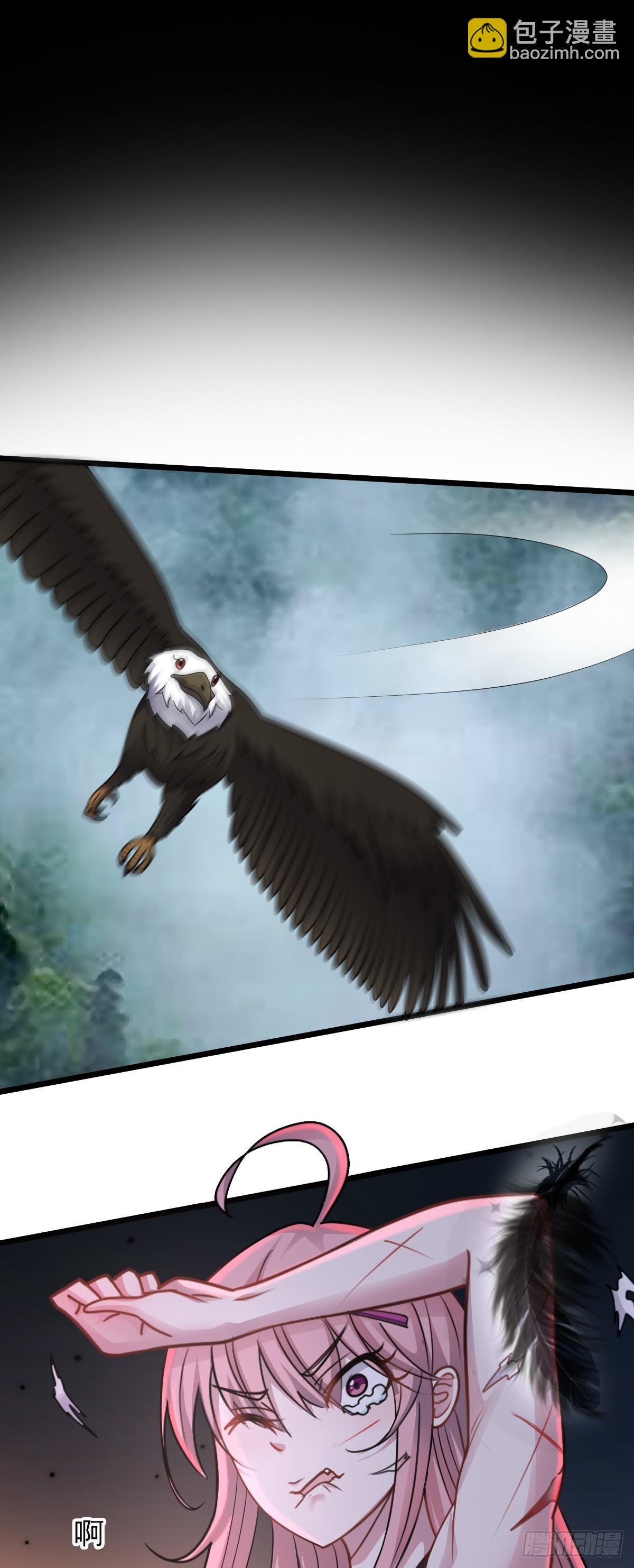 27.jpg