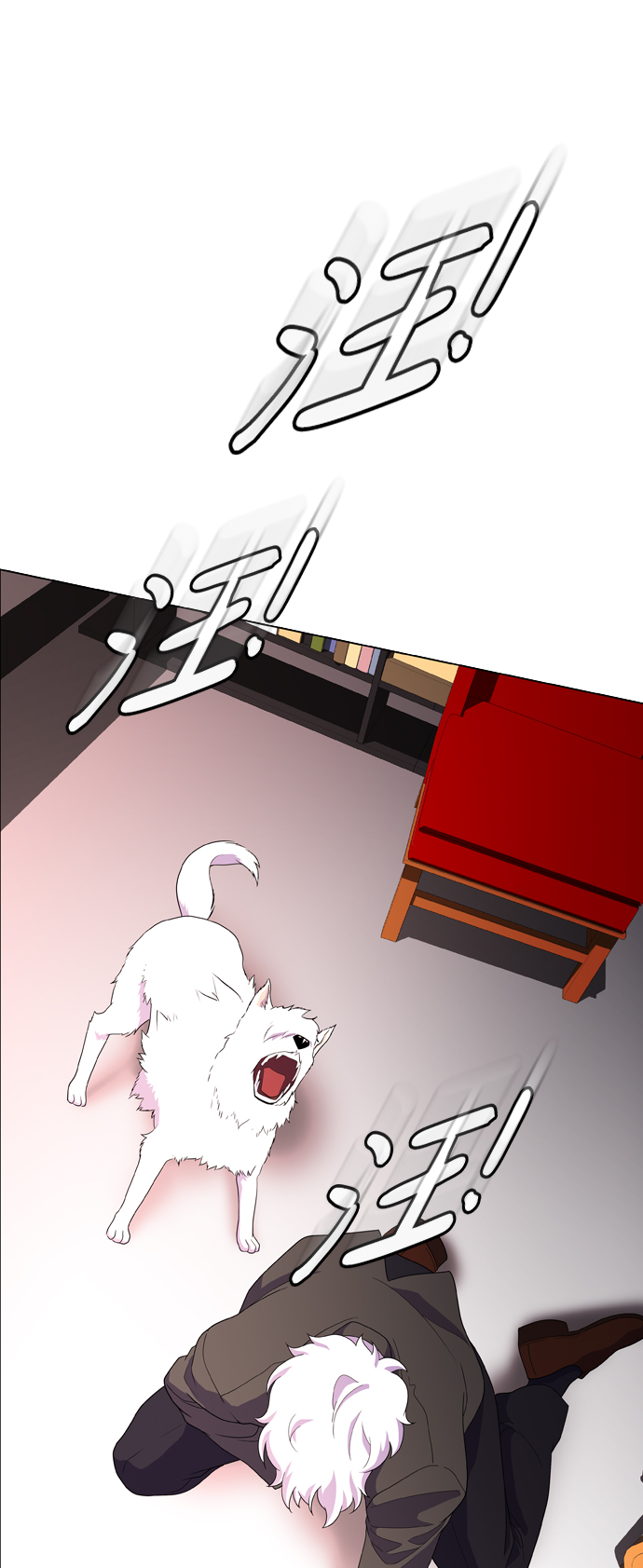 47.jpg