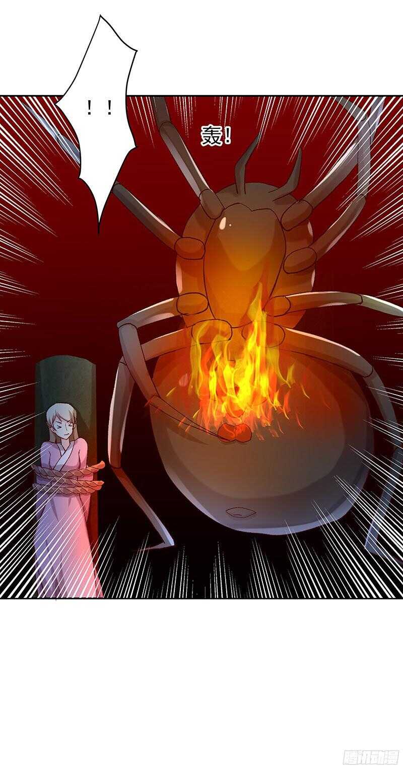 21.jpg