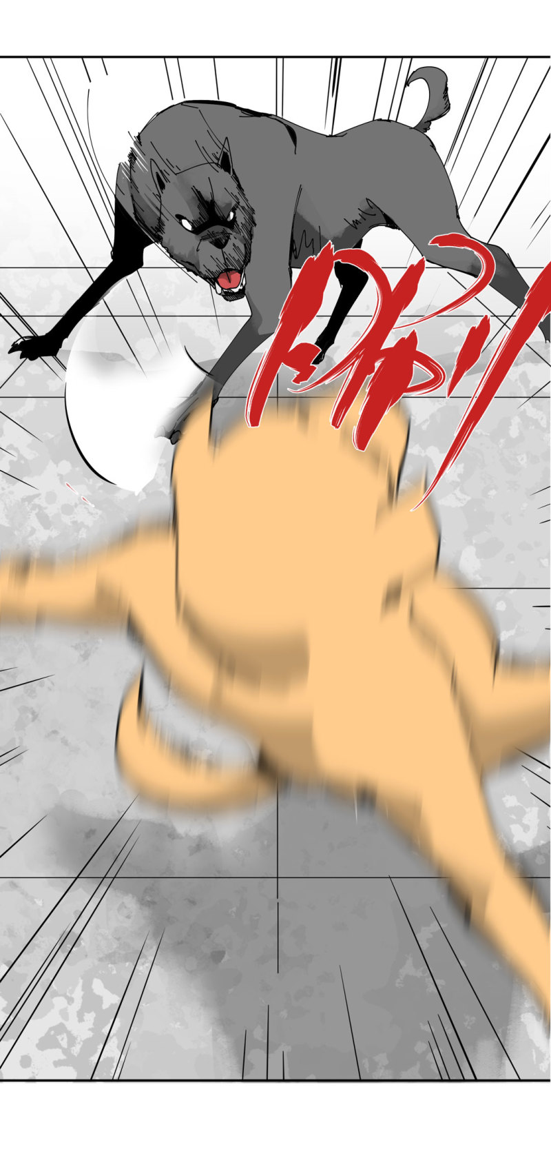 46.jpg