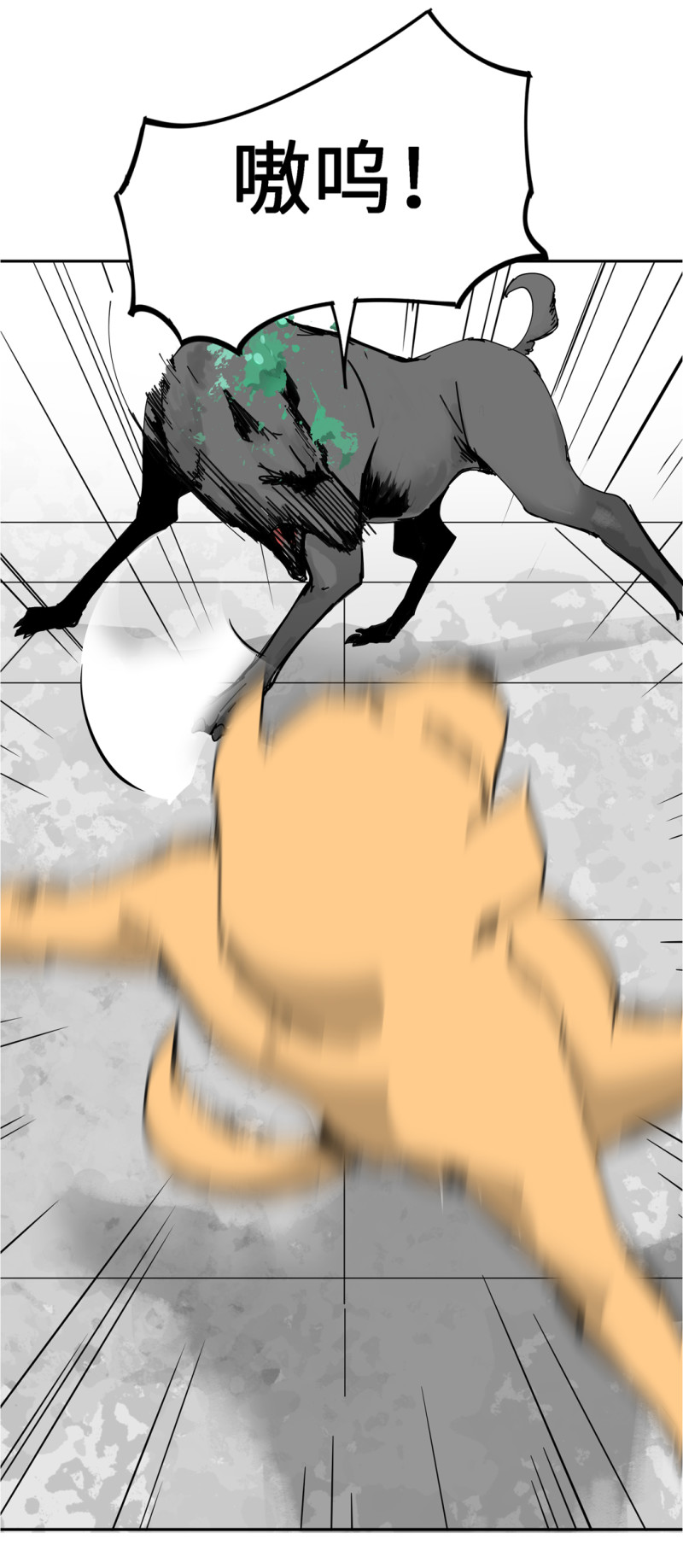 49.jpg