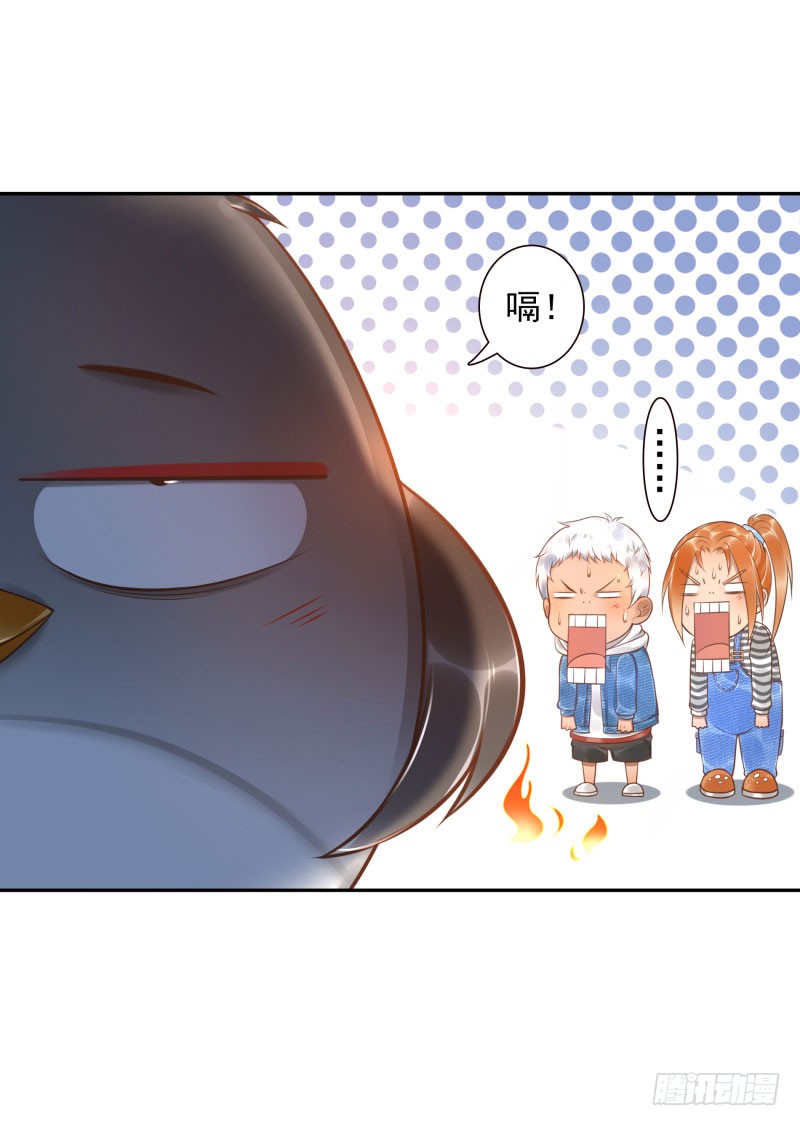 23.jpg