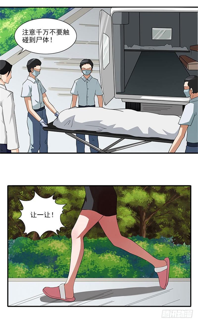 13.jpg