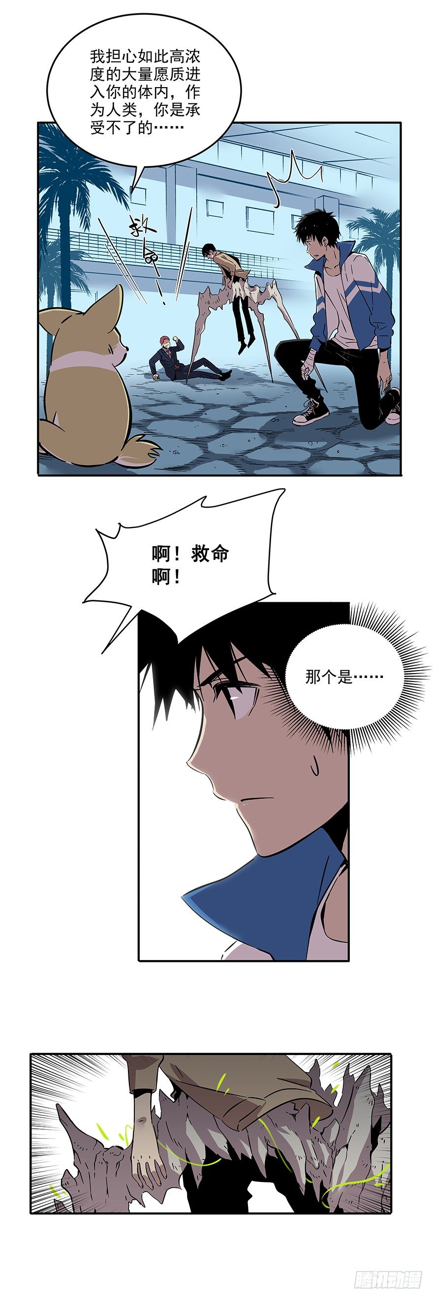 9.jpg