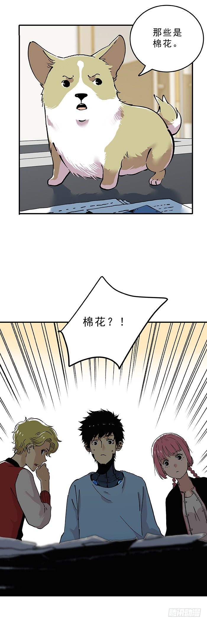 20.jpg