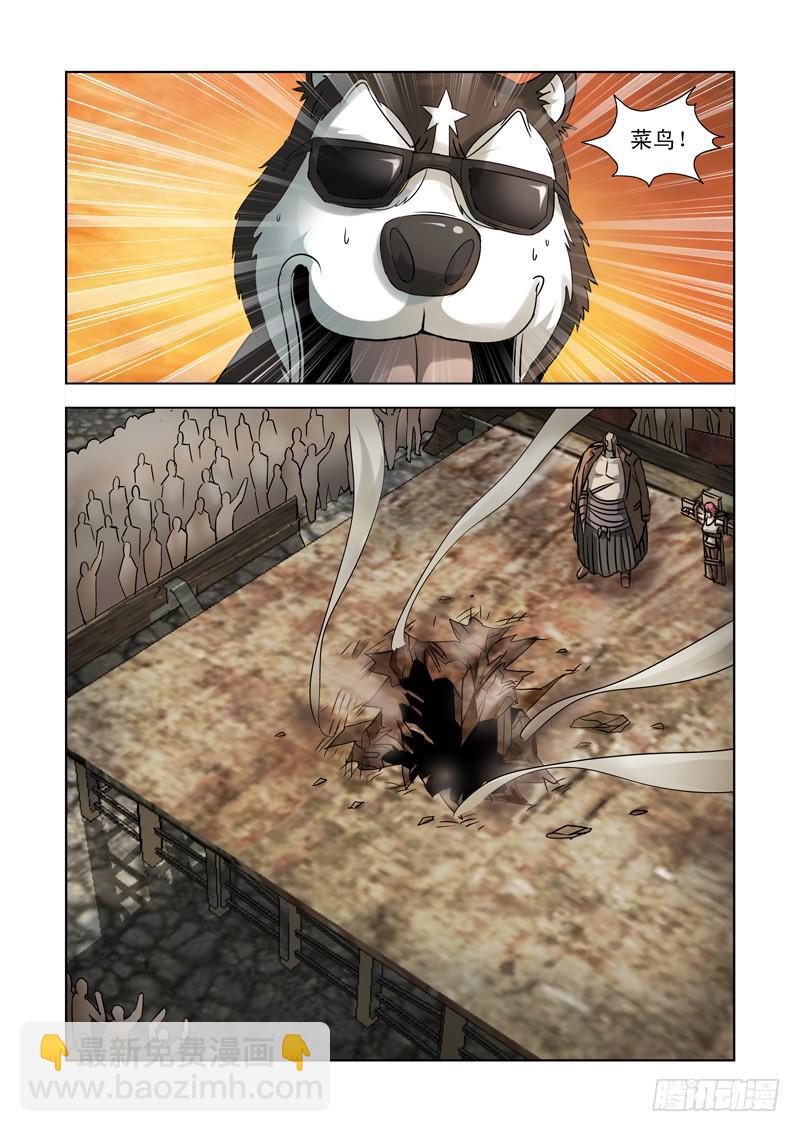 11.jpg