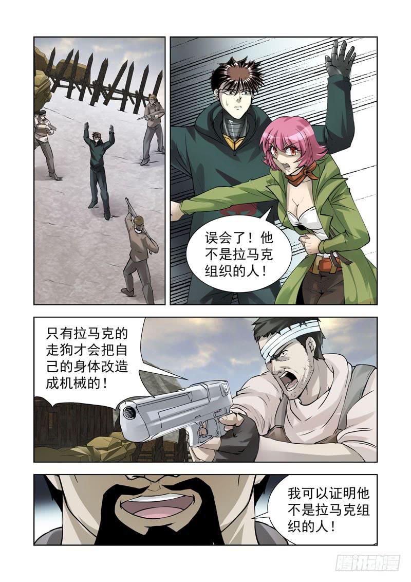 11.jpg