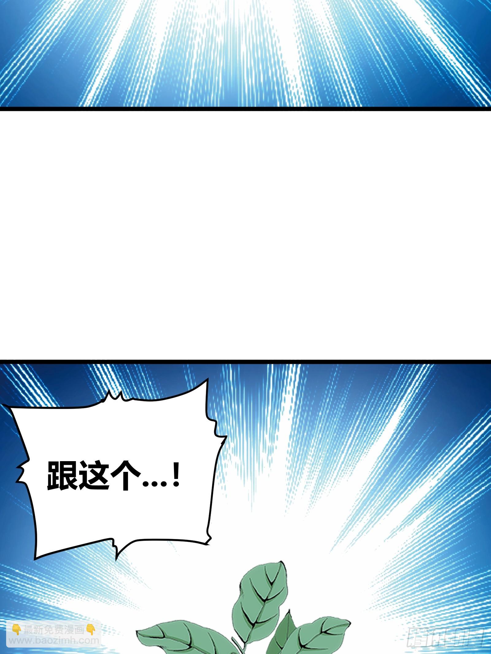 46.jpg