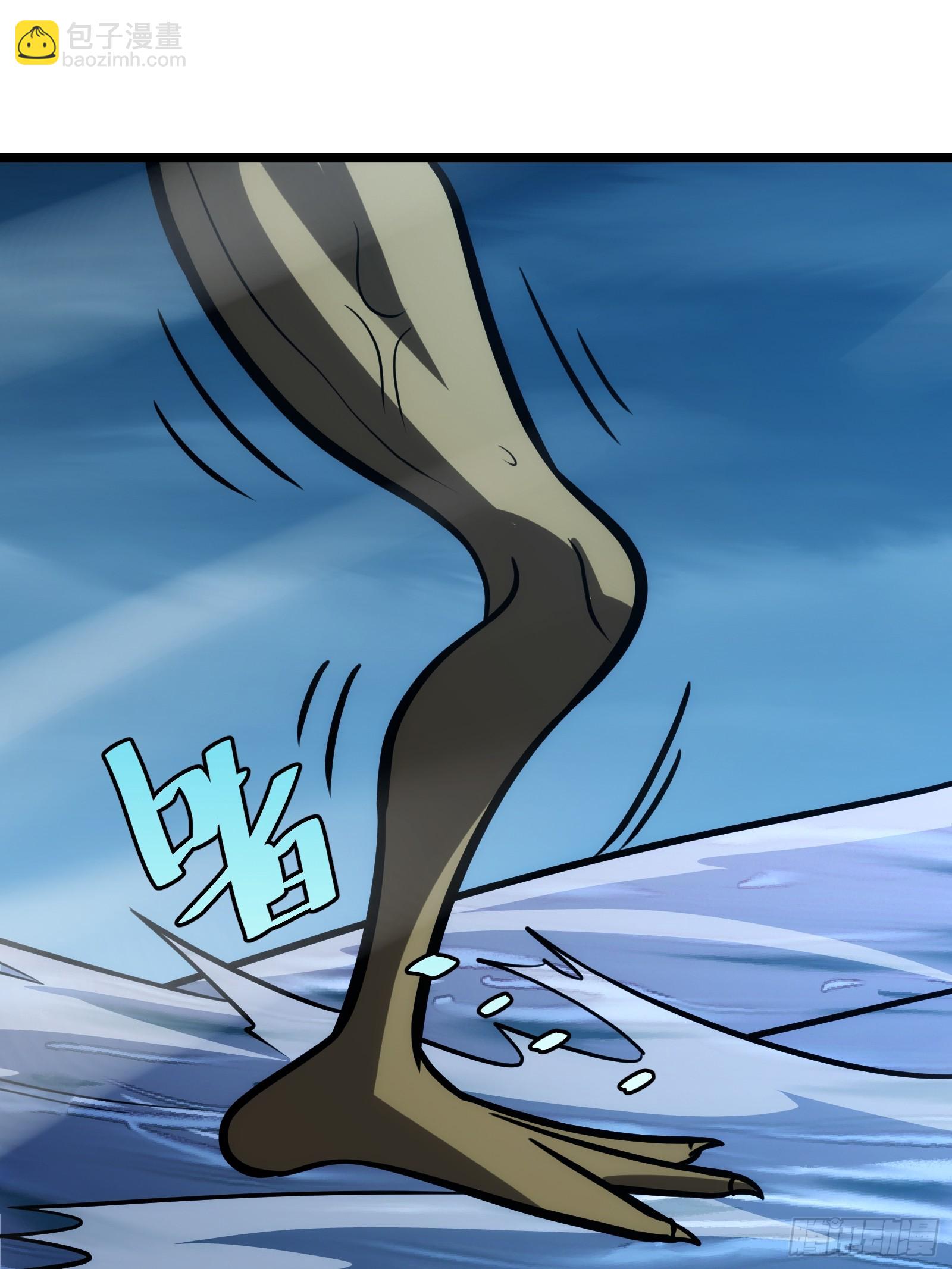 43.jpg