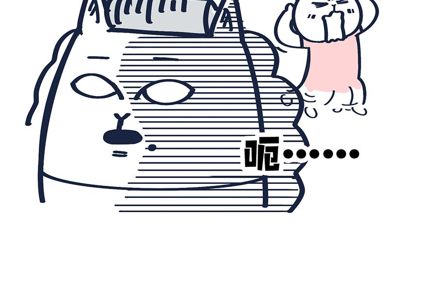 46.jpg