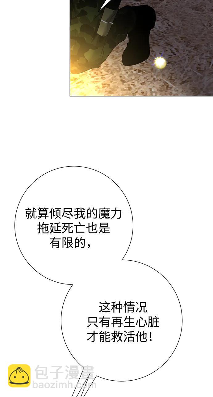 46.jpg