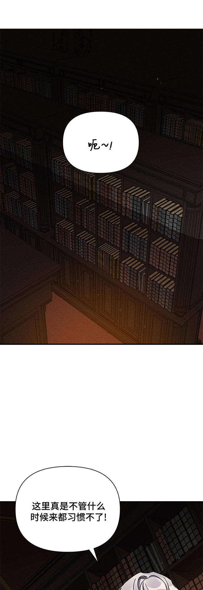 41.jpg