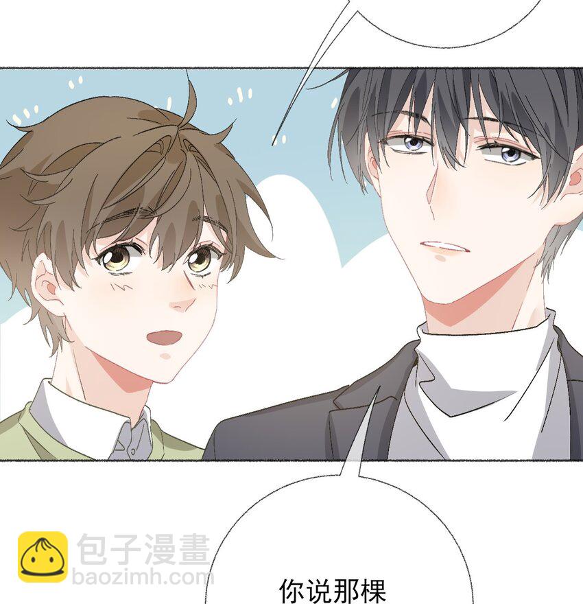 45.jpg