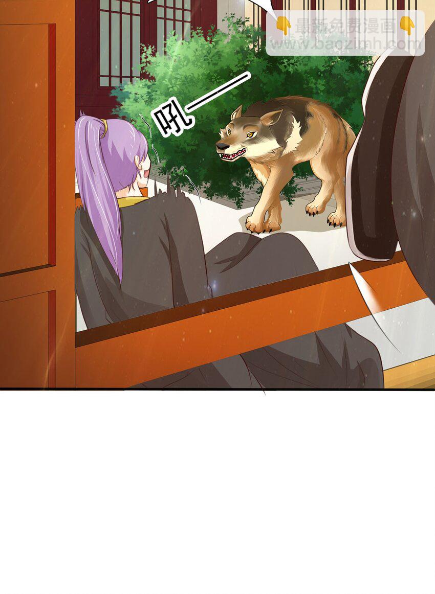 5.jpg