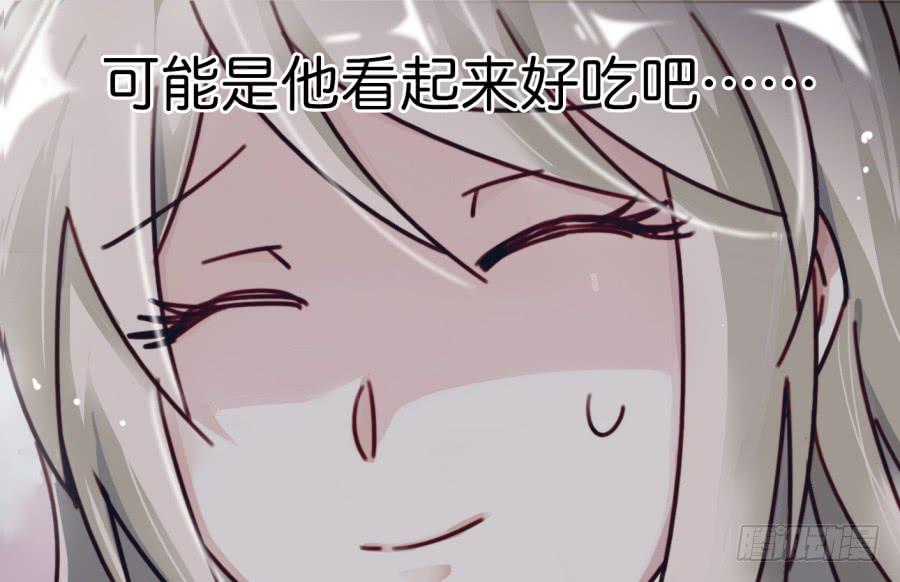 41.jpg