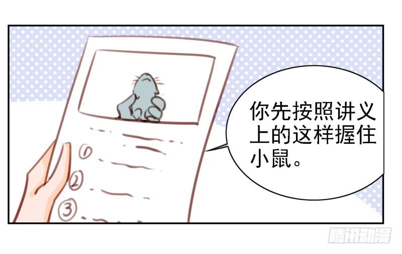 29.jpg
