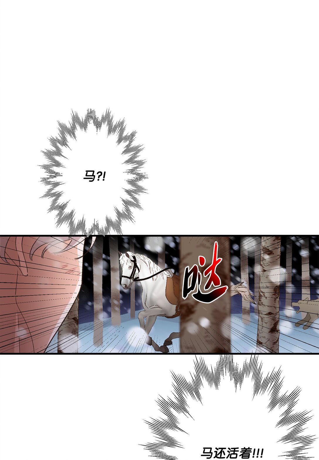 37.jpg