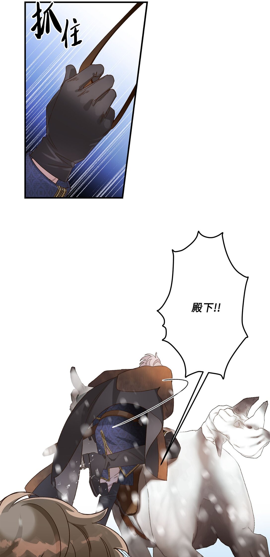 46.jpg