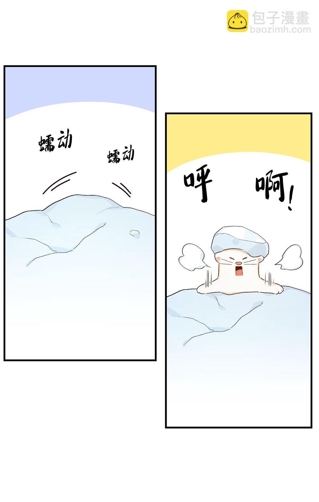 15.jpg