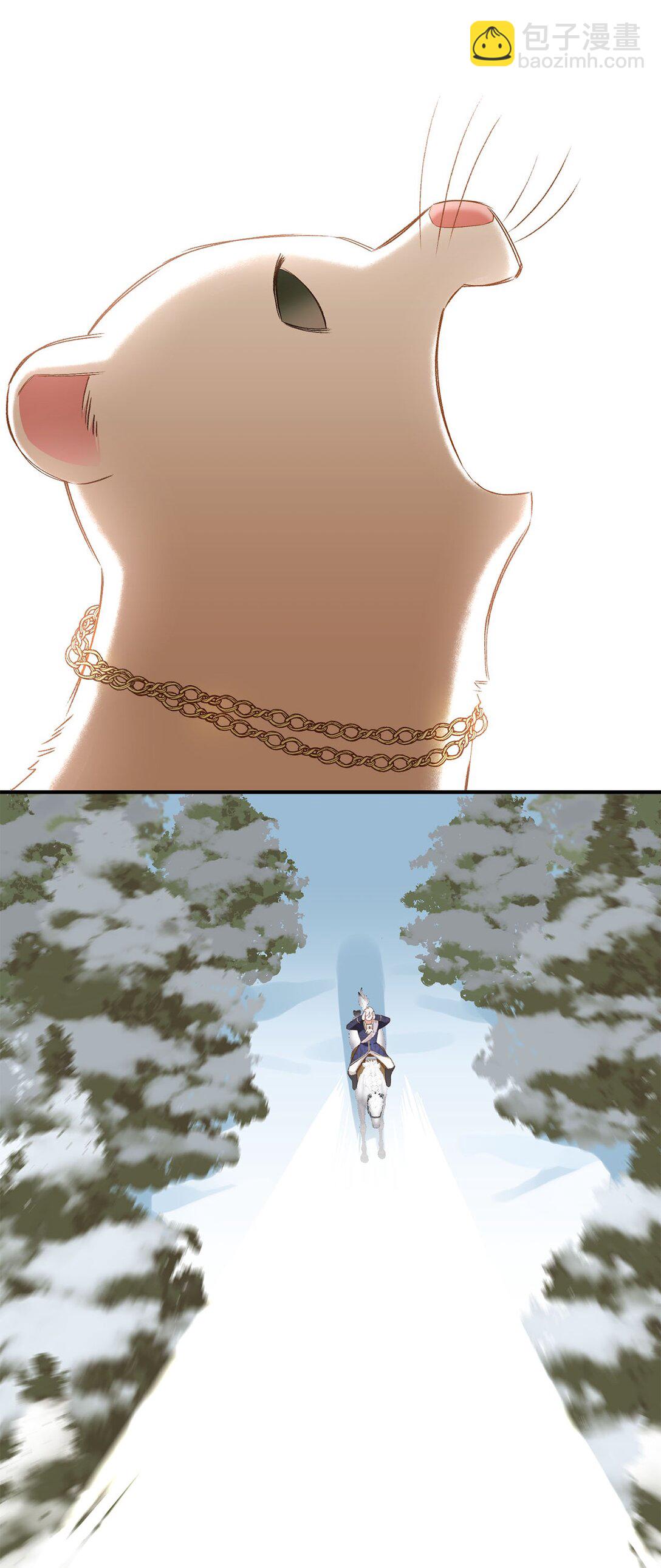 41.jpg