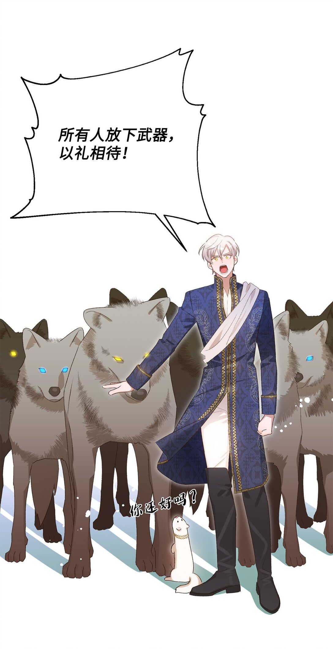 6.jpg