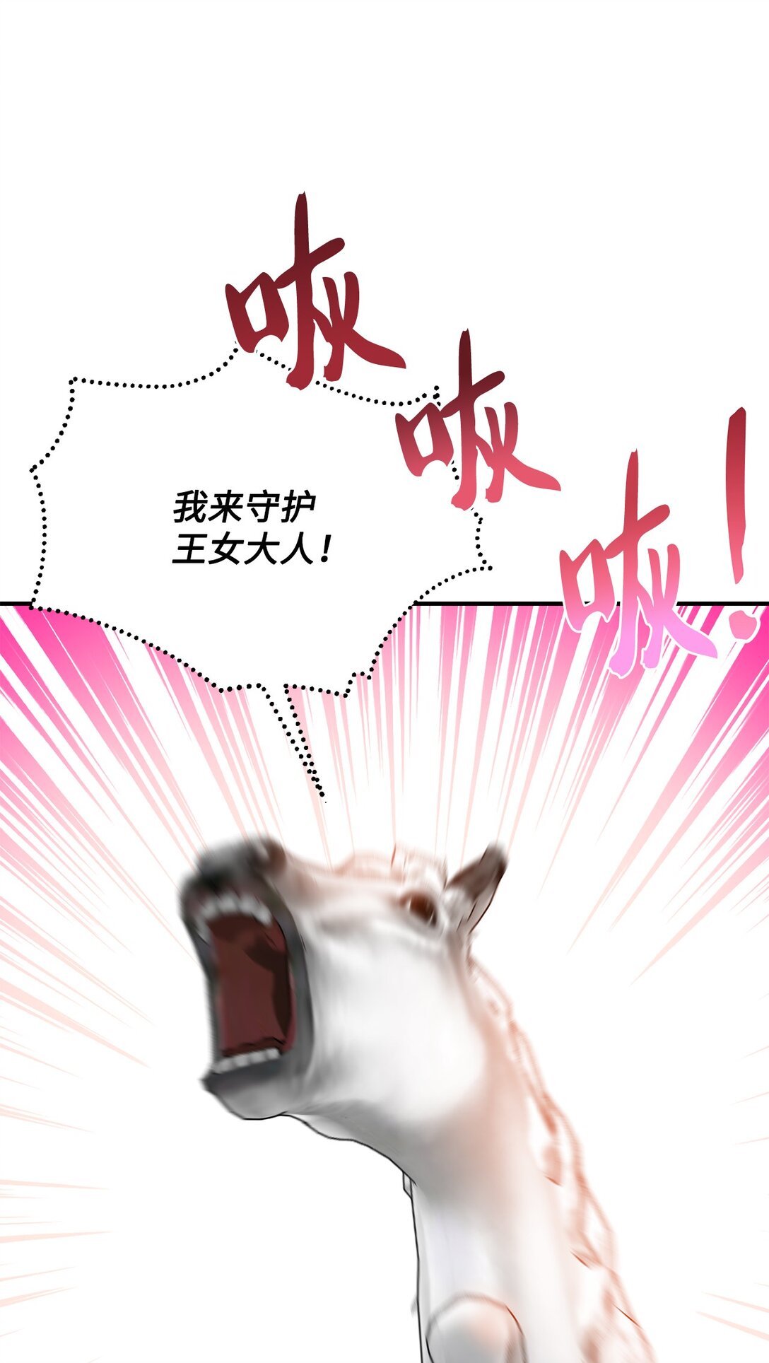 48.jpg