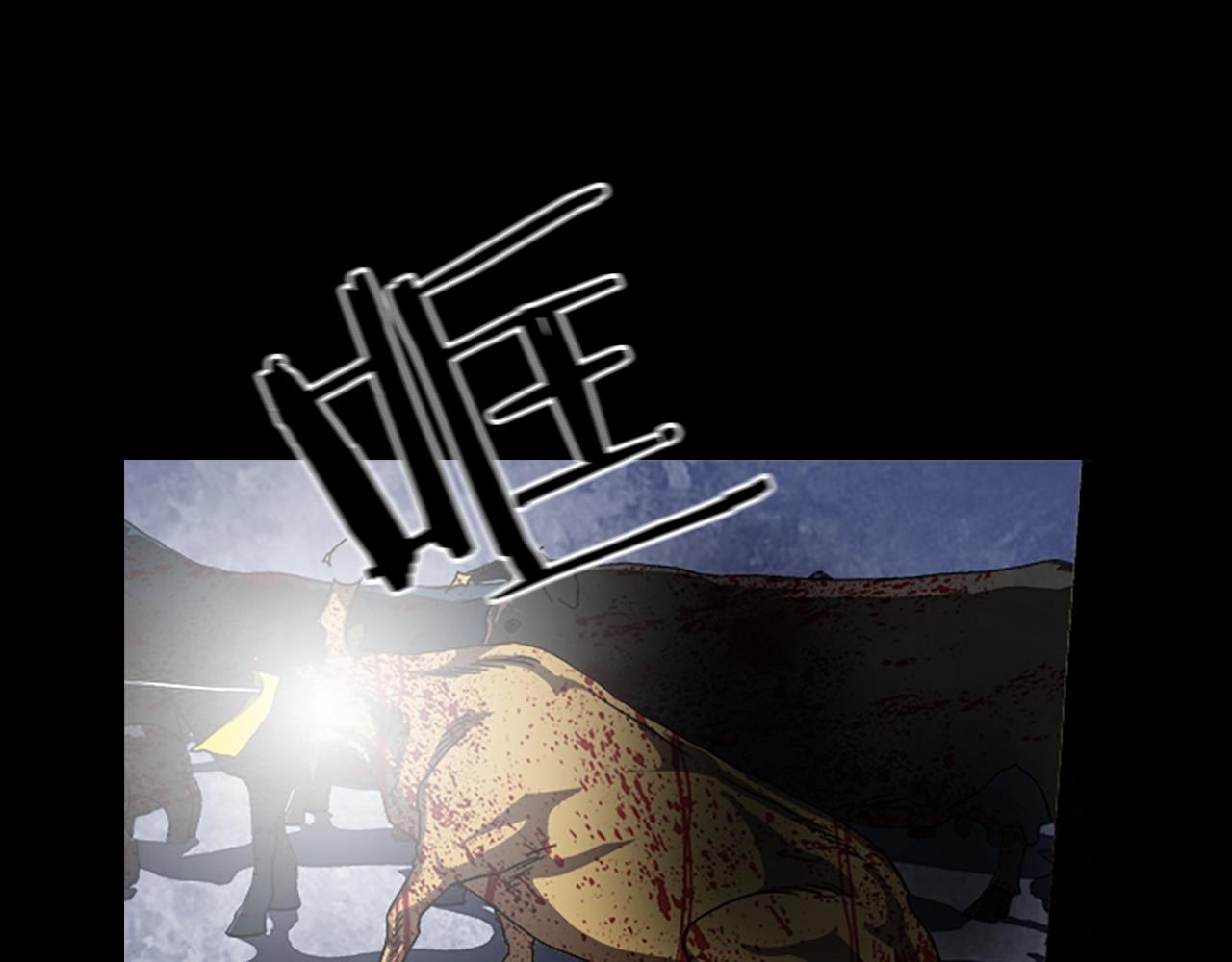 47.jpg