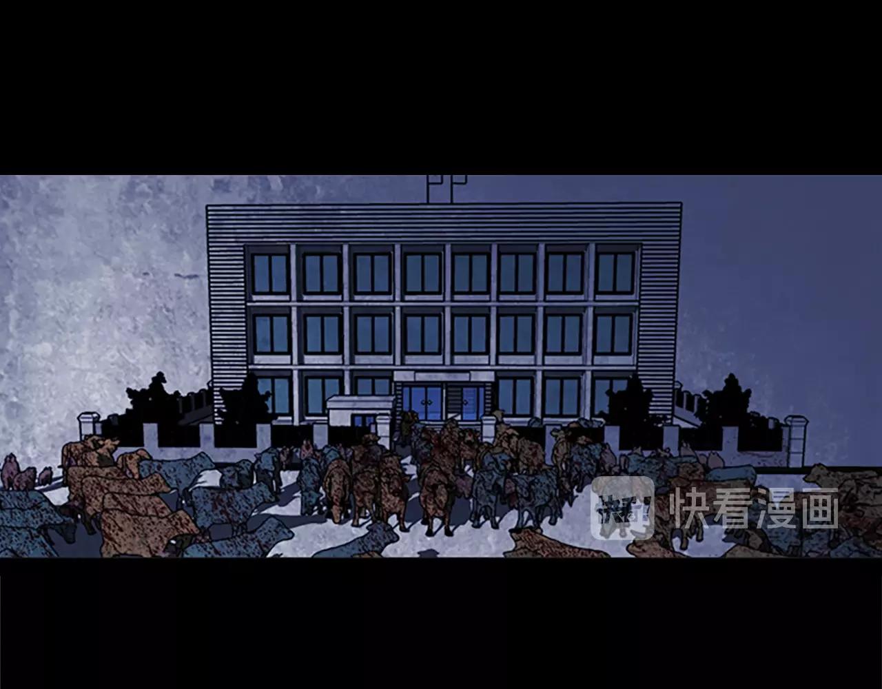 46.jpg