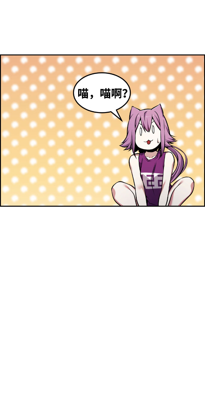 43.jpg