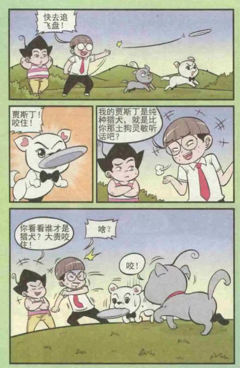 5.jpg