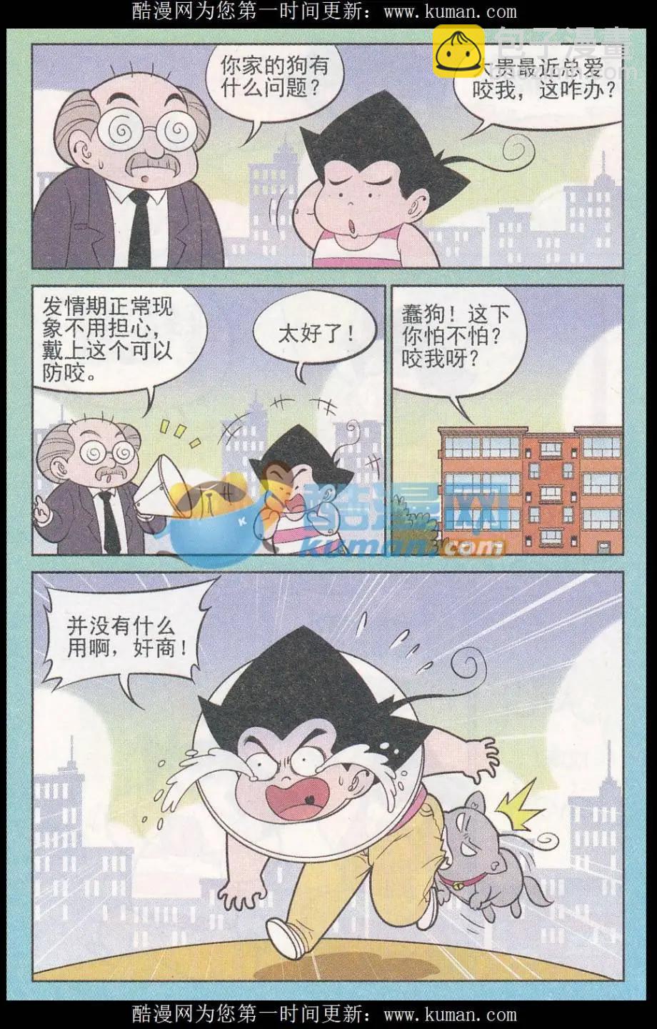 11.jpg