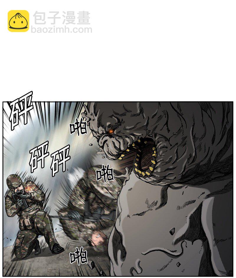 43.jpg