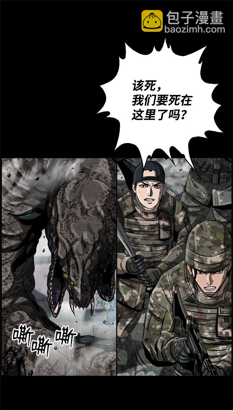 24.jpg
