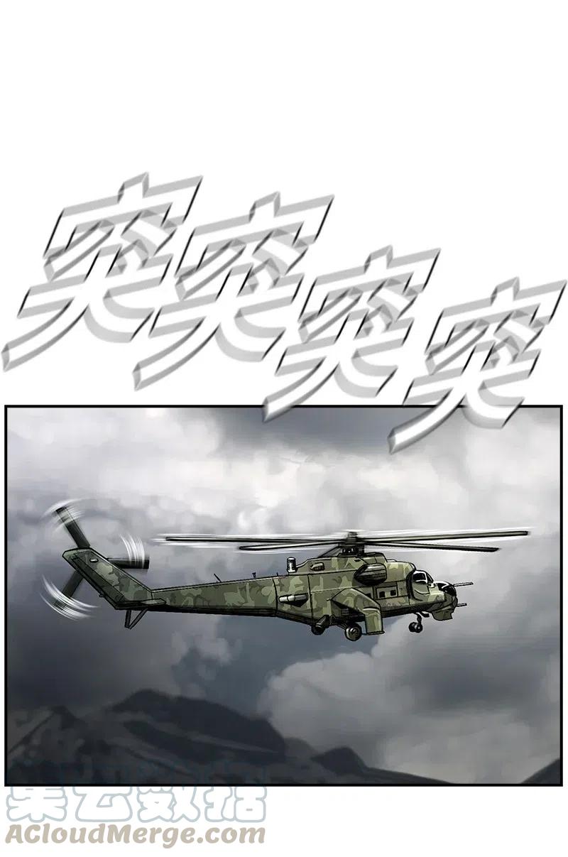 43.jpg