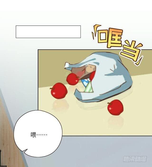 24.jpg