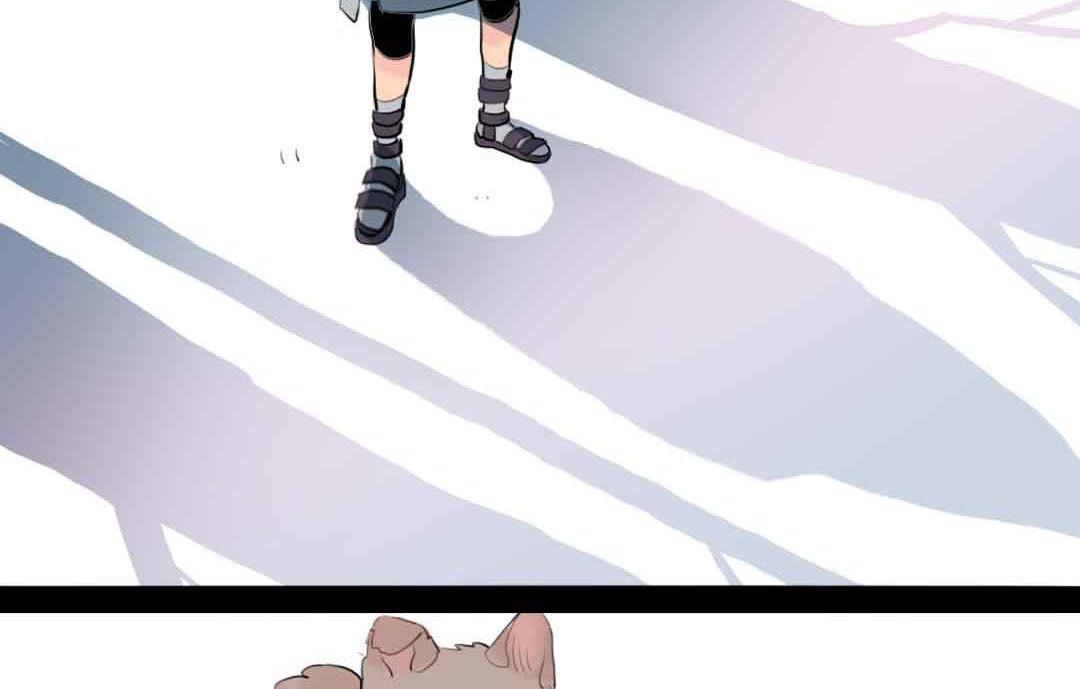 41.jpg