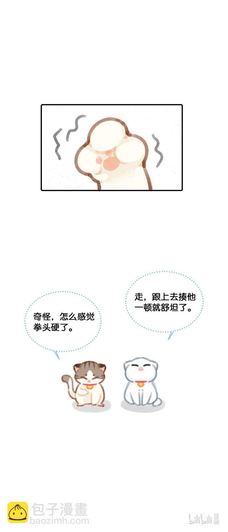 11.jpg