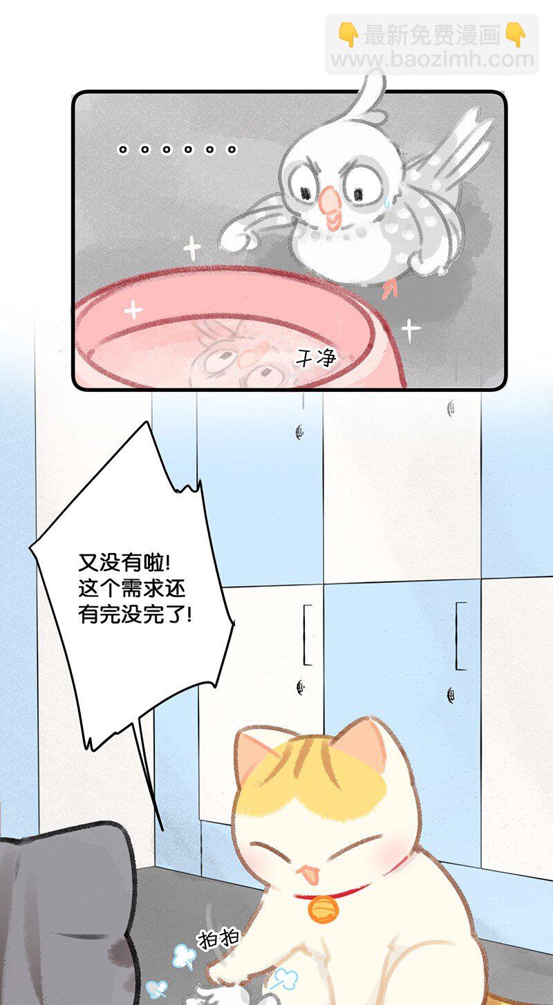 14.jpg